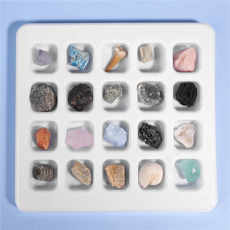 Boxed set of 20 mineral fossil specimens mixed with raw ore