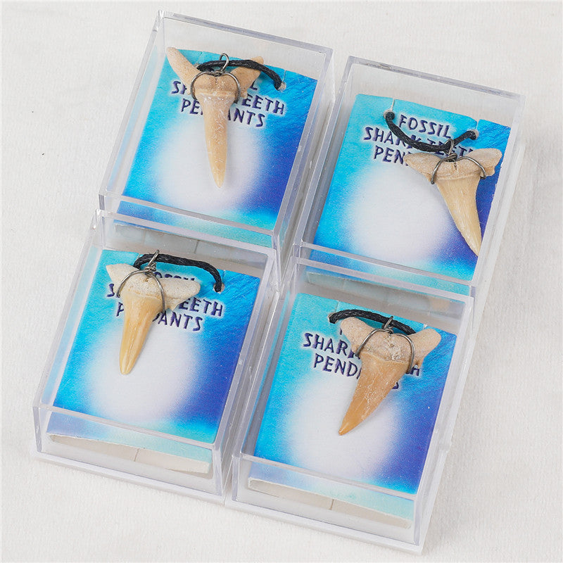 Natural fossil shark tooth necklace