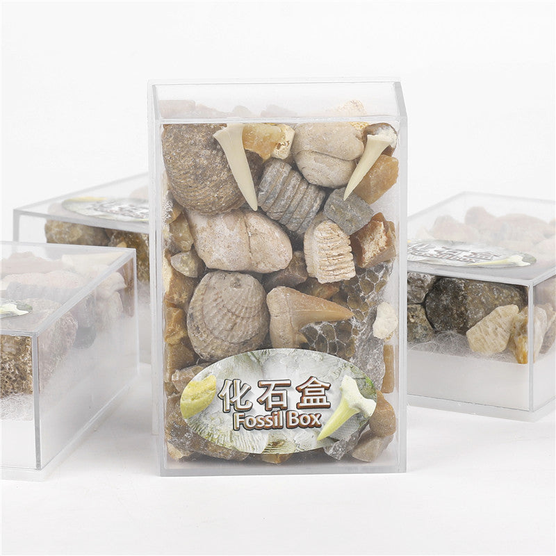 Mixed fossil ore samples for scientific education Mineral rocks