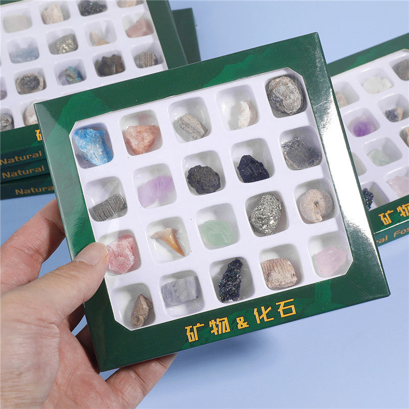 Boxed set of 20 mineral fossil specimens mixed with raw ore
