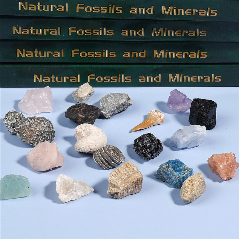 Boxed set of 20 mineral fossil specimens mixed with raw ore