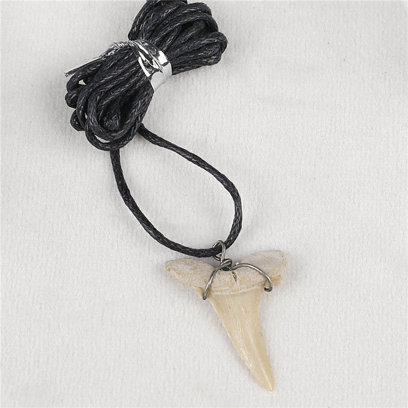 Natural fossil shark tooth necklace
