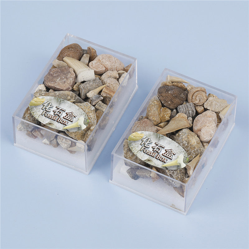 Mixed fossil ore samples for scientific education Mineral rocks