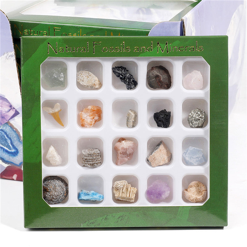 Boxed mix of 20 mineral fossil specimens