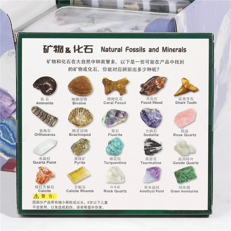 Boxed set of 20 mineral fossil specimens mixed with raw ore