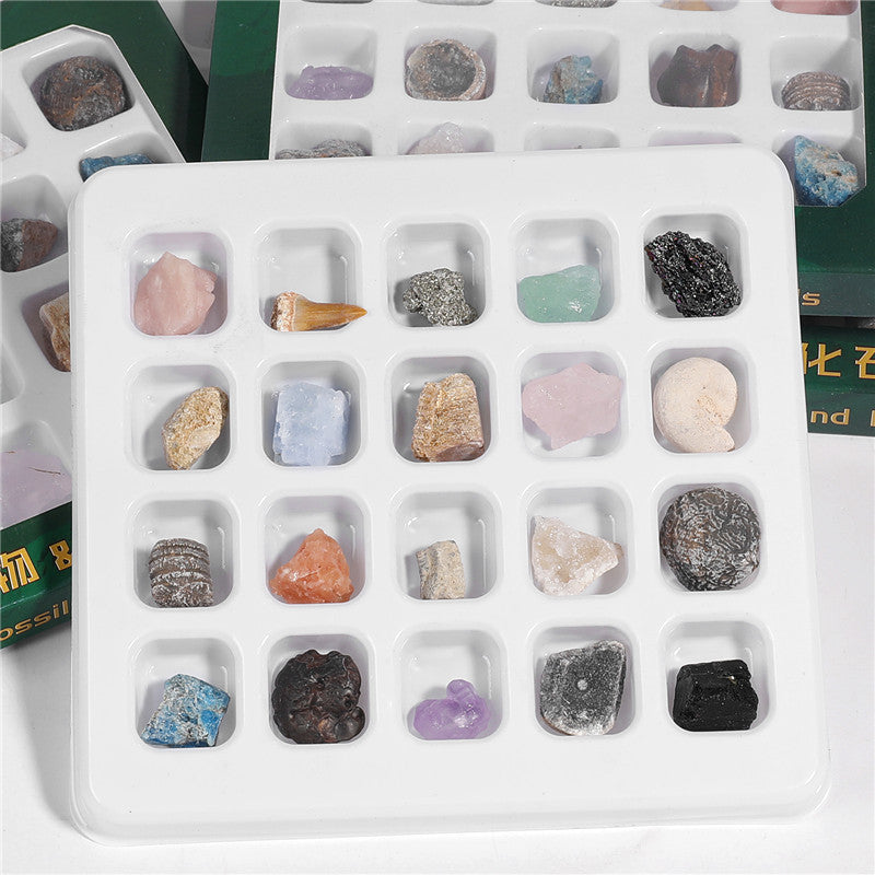 Boxed set of 20 mineral fossil specimens mixed with raw ore