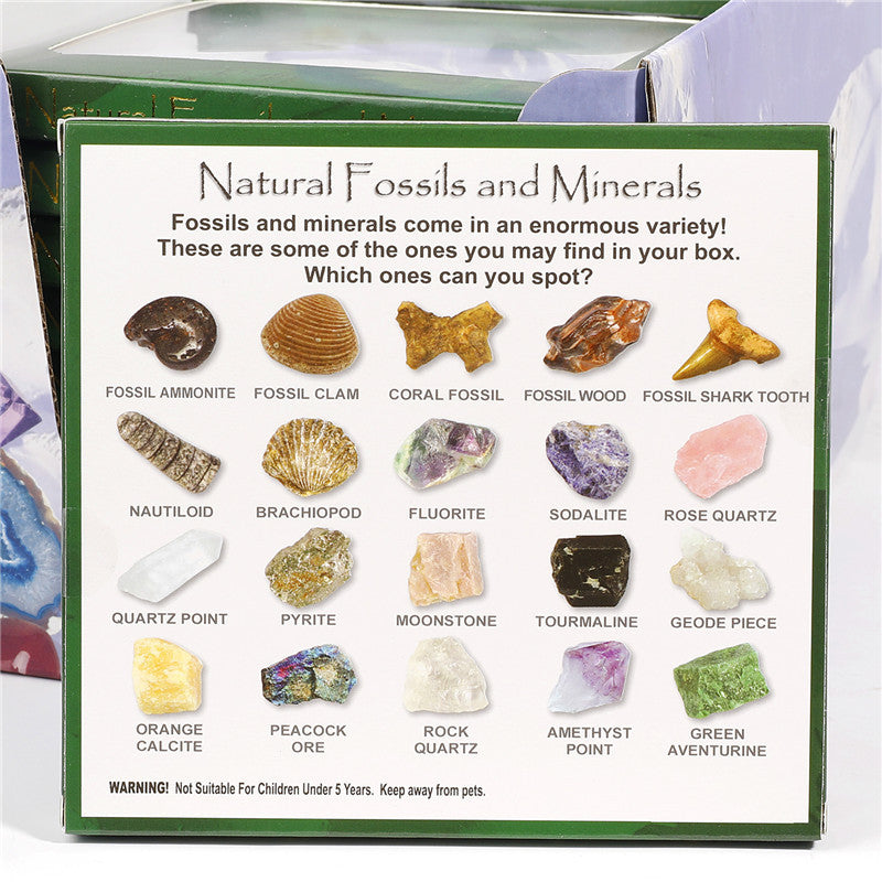 Boxed mix of 20 mineral fossil specimens