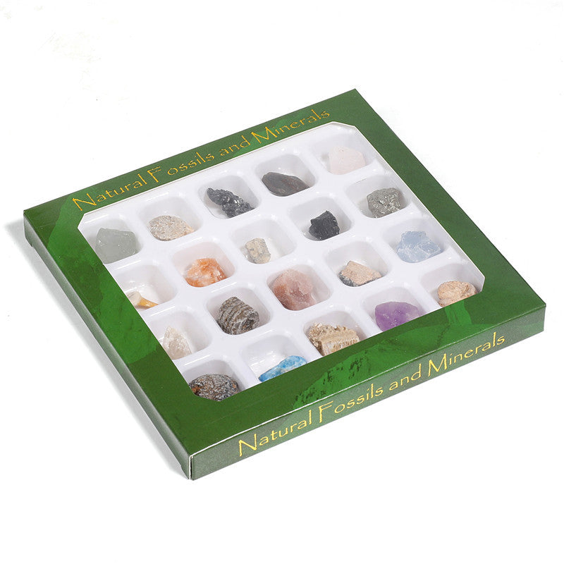 Boxed mix of 20 mineral fossil specimens