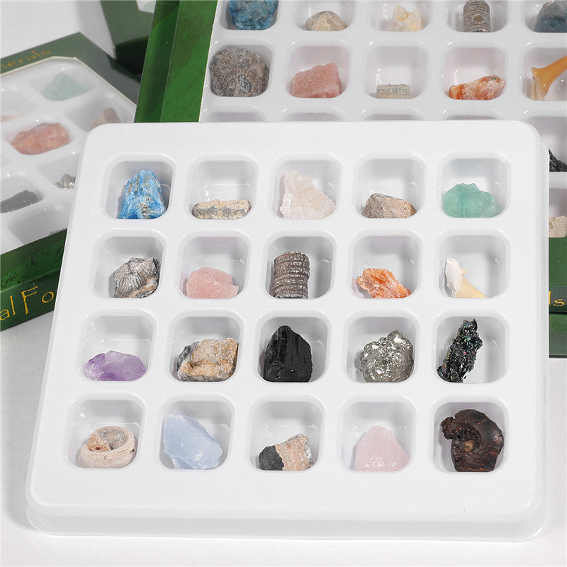 Boxed mix of 20 mineral fossil specimens