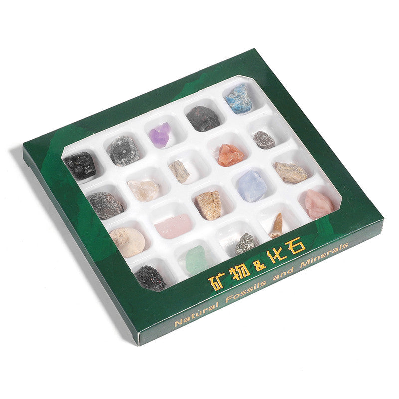 Boxed set of 20 mineral fossil specimens mixed with raw ore