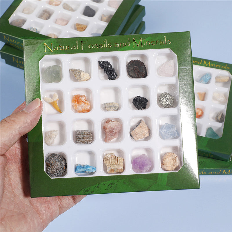 Boxed mix of 20 mineral fossil specimens