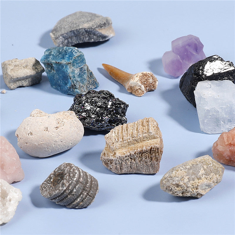 Boxed set of 20 mineral fossil specimens mixed with raw ore