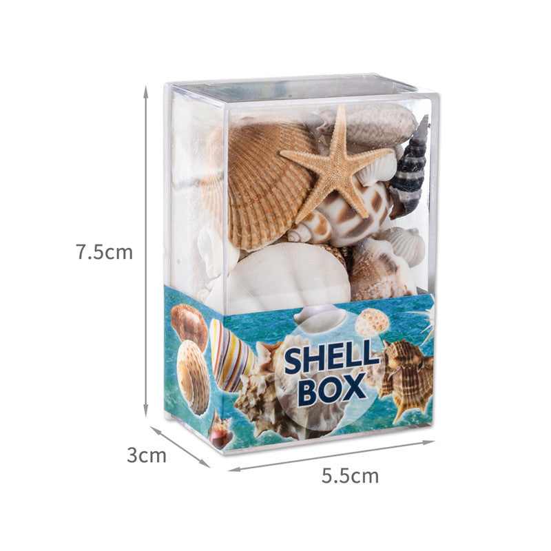 Natural marine biological specimens, shell specimens, and educational materials for student science education.