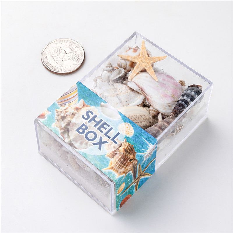 Natural marine biological specimens, shell specimens, and educational materials for student science education.