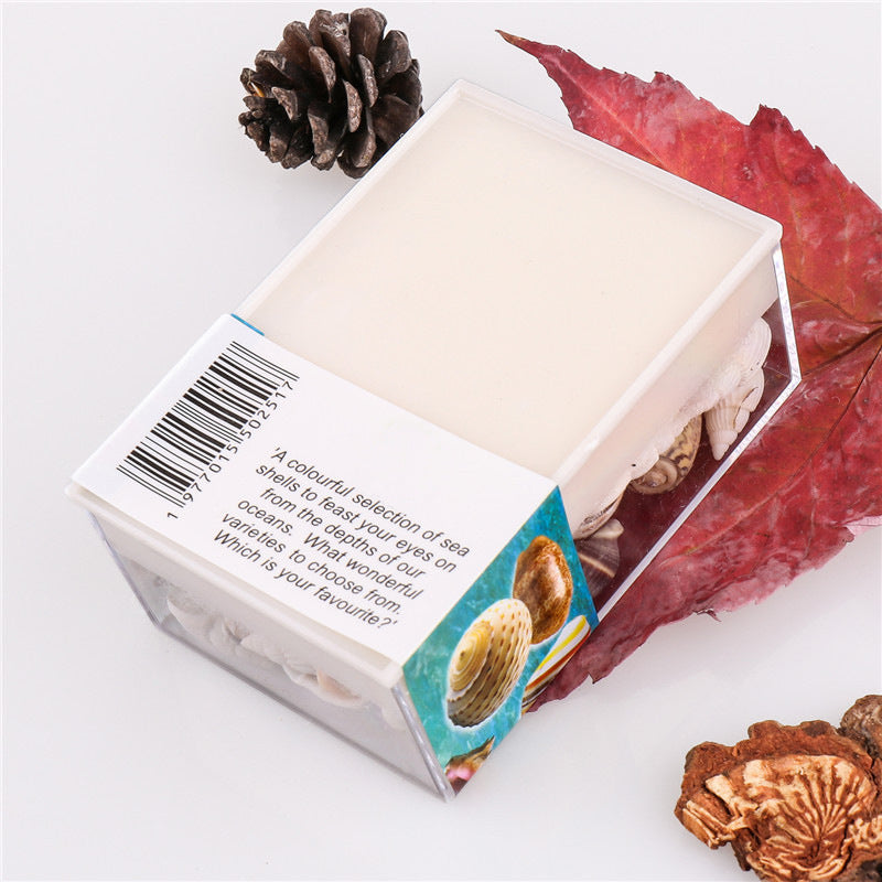 Natural marine biological specimens, shell specimens, and educational materials for student science education.