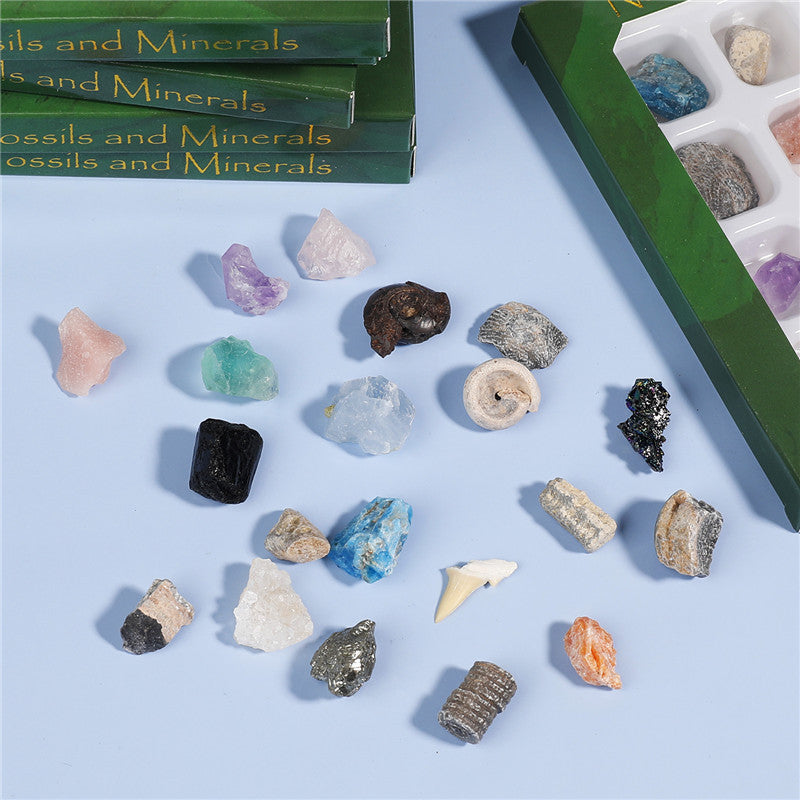 Boxed mix of 20 mineral fossil specimens