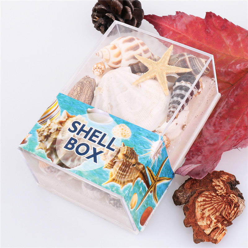 Natural marine biological specimens, shell specimens, and educational materials for student science education.