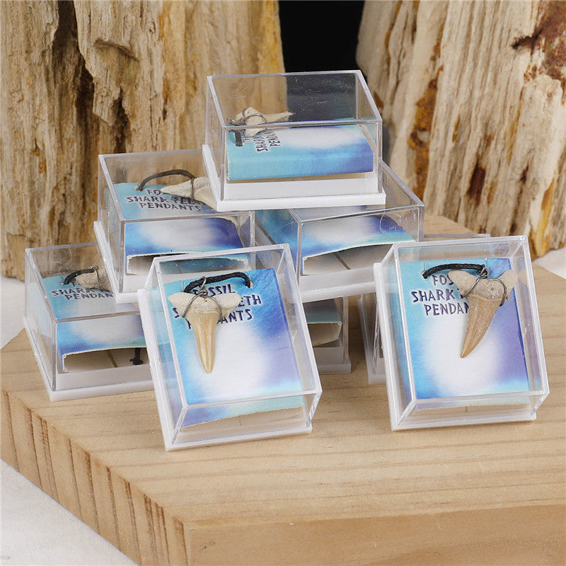 Natural fossil shark tooth necklace