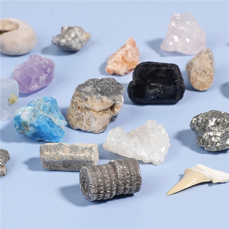 Boxed mix of 20 mineral fossil specimens
