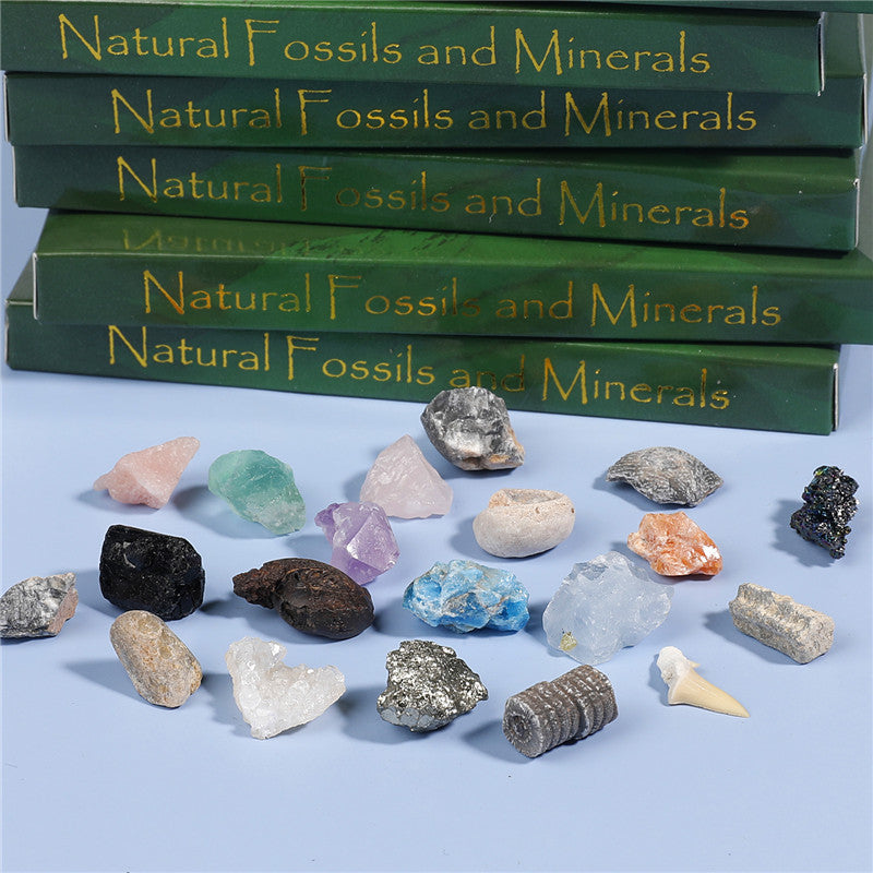 Boxed mix of 20 mineral fossil specimens