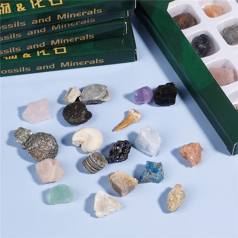 Boxed set of 20 mineral fossil specimens mixed with raw ore