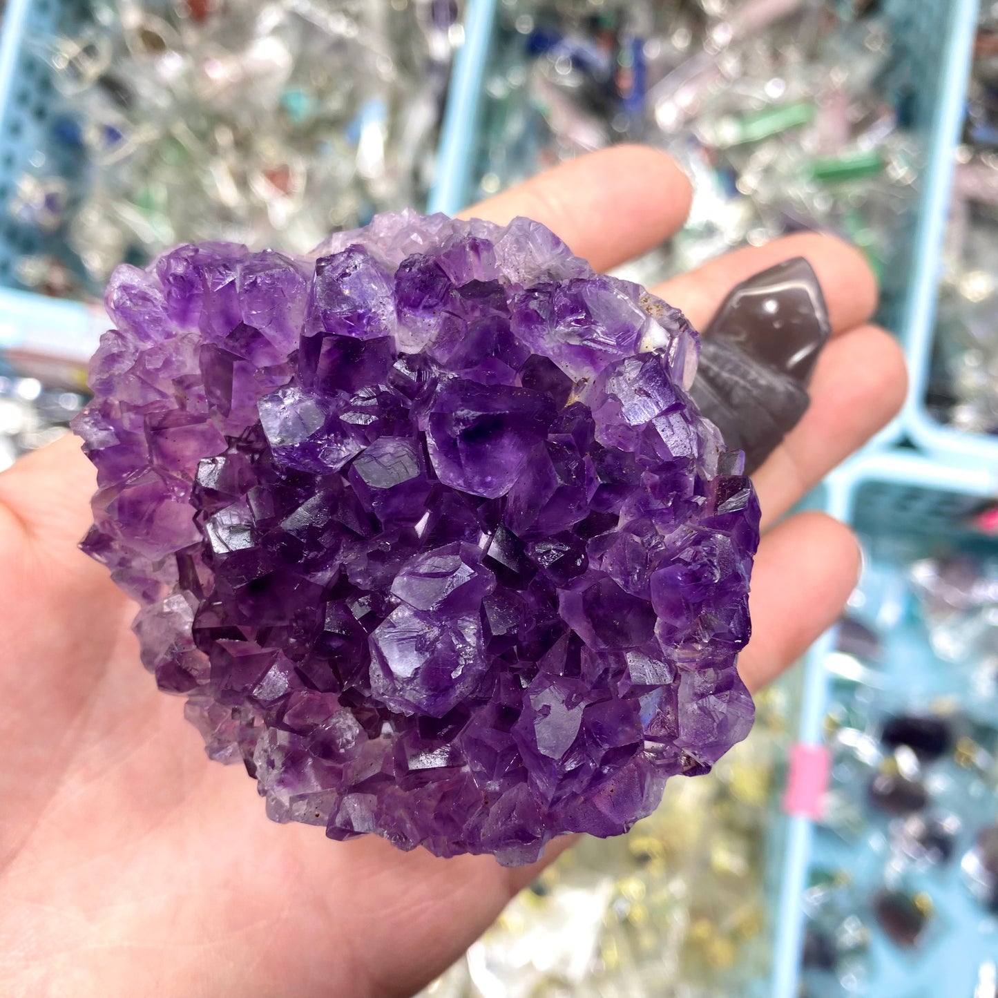 Amethyst Turtle Carving