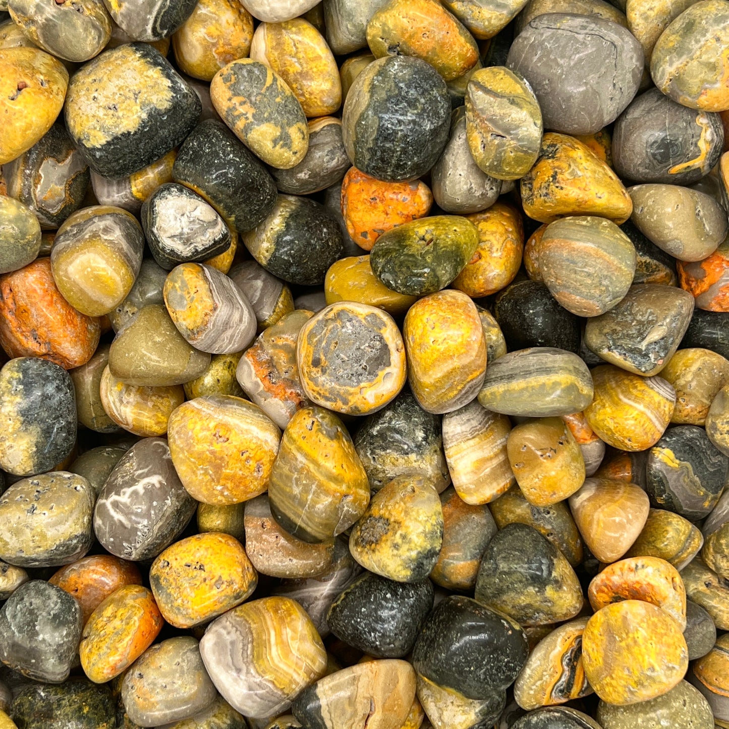 Bumble Bee Jasper | Bumble Bee Tumbled Stone | WaterfrontCrystal