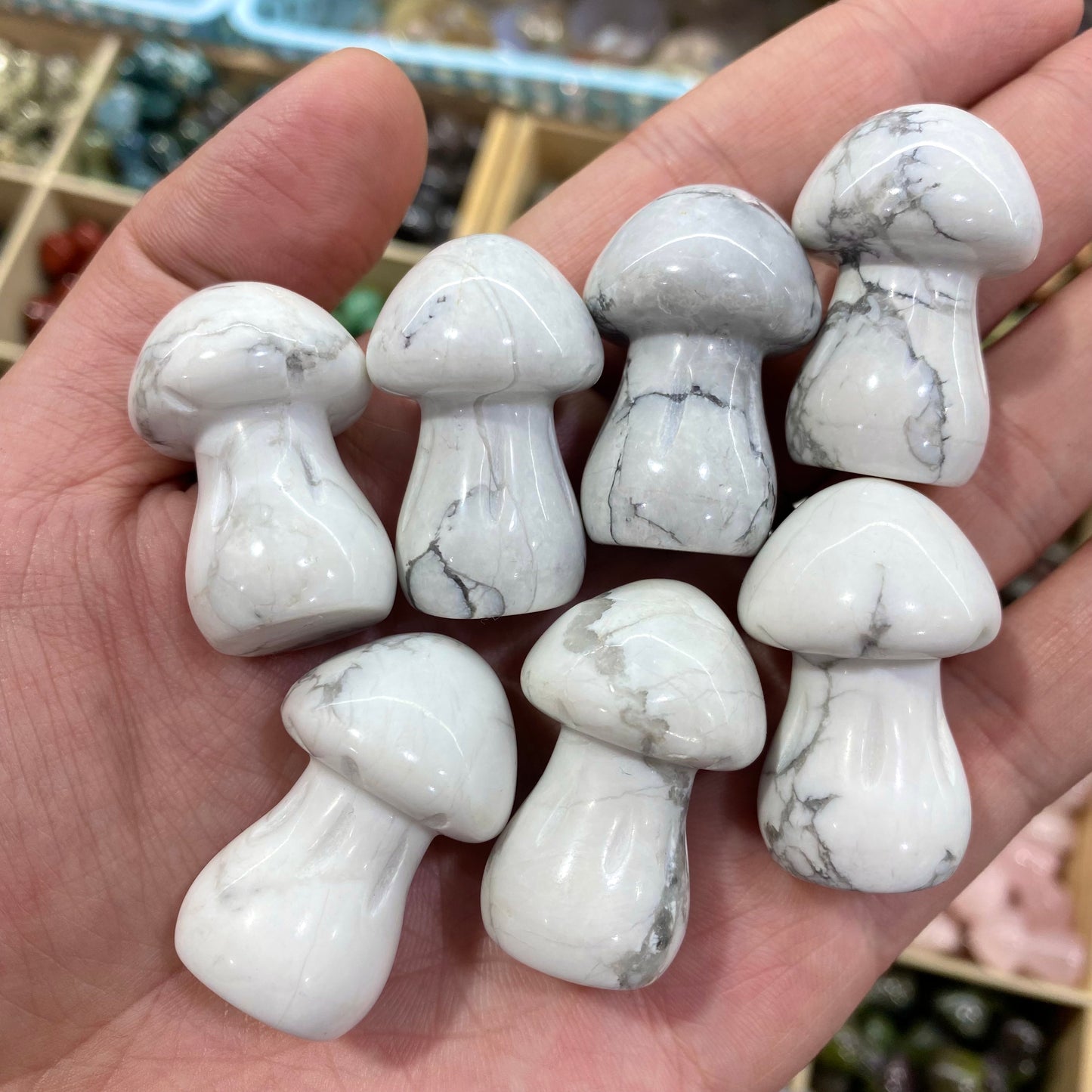 Howlite Mushroom Carving