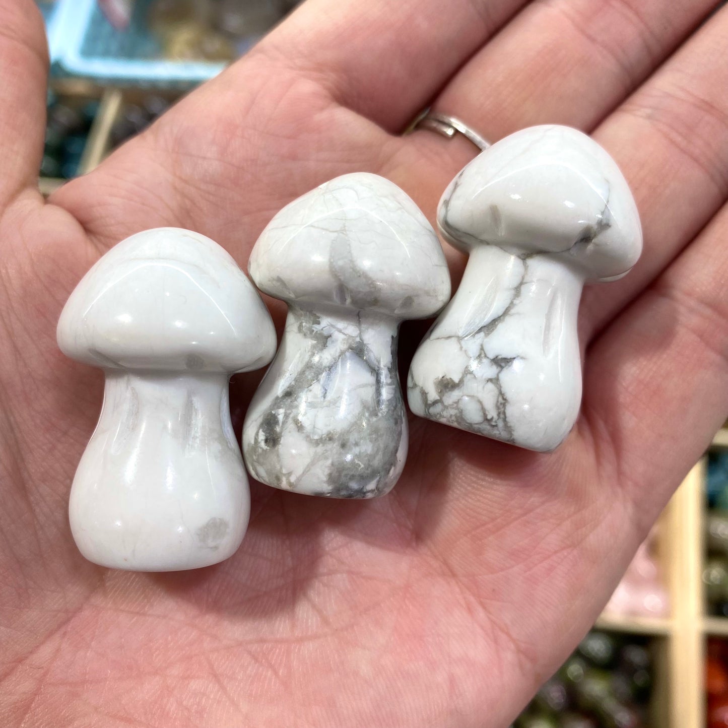 Howlite Mushroom Carving