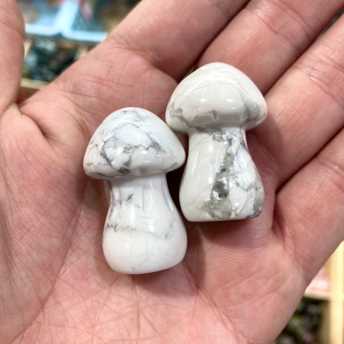 Howlite Mushroom Carving