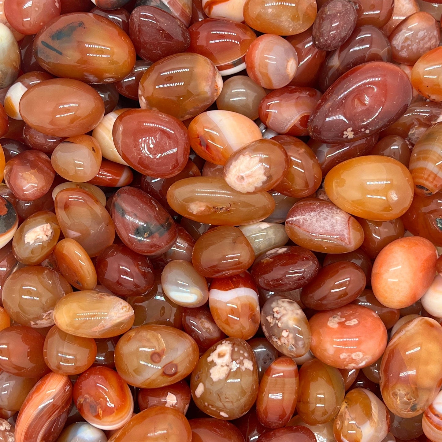 Red Agate Tumbled Stones(20-30mm) WaterfrontCrystal