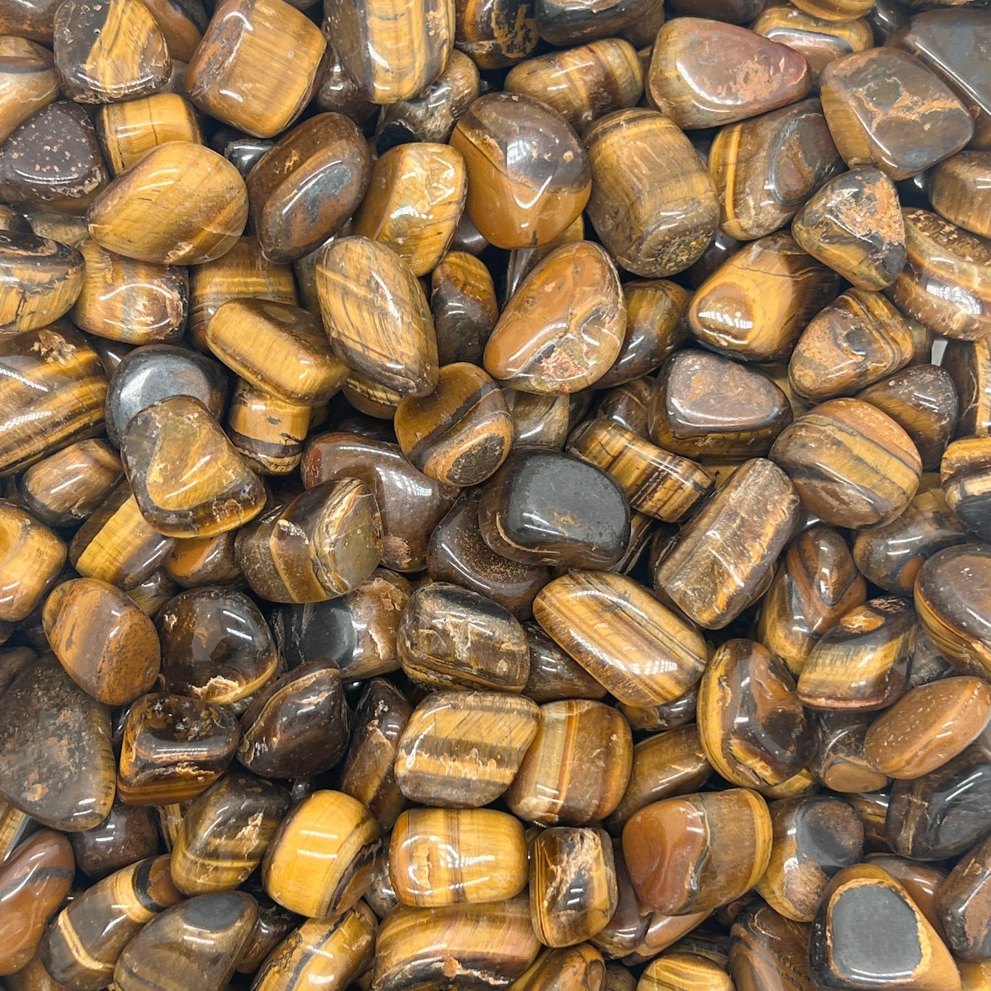 Tigers Eye Tumbled Stones(20-30mm) WaterfrontCrystal
