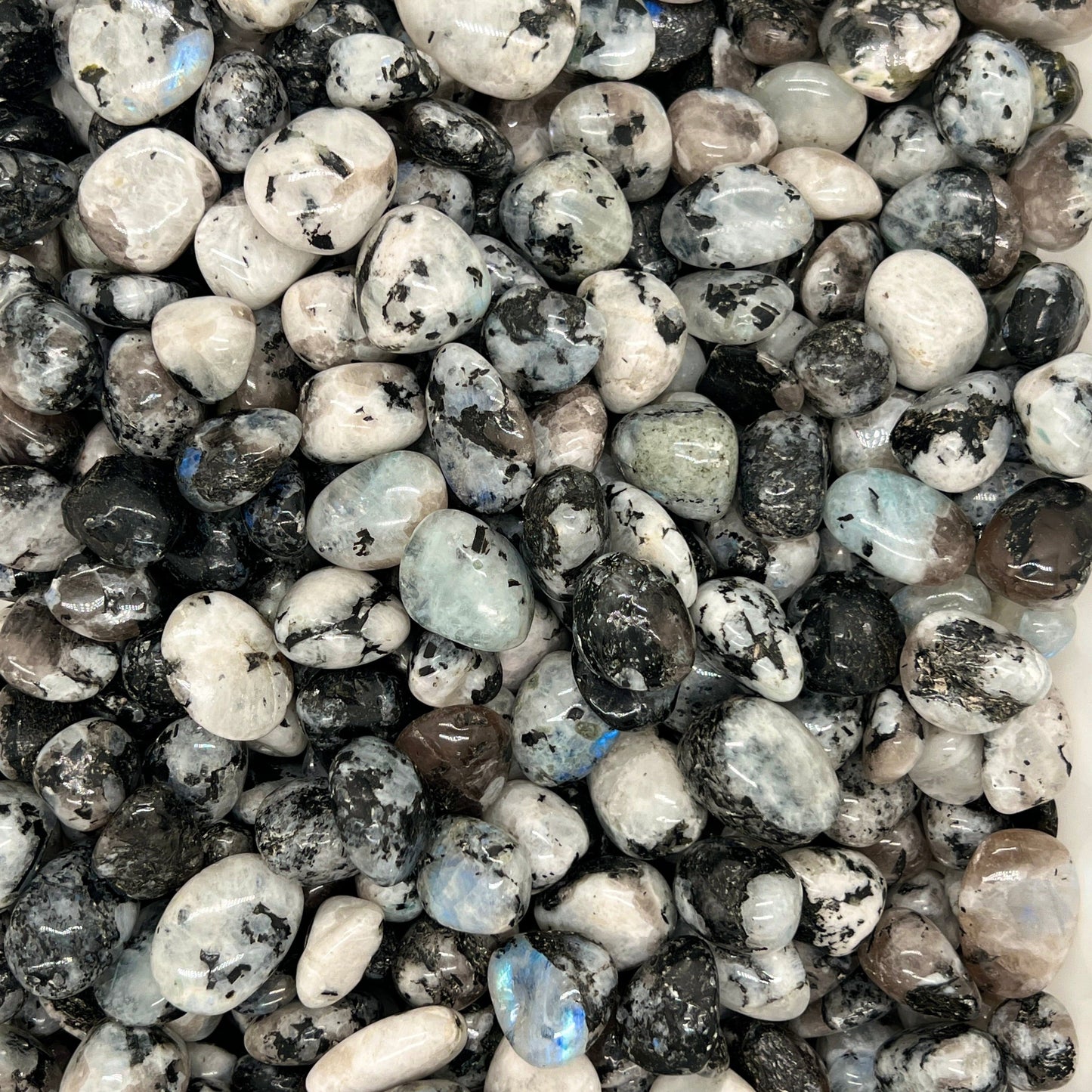 Moonstone Tumbled Stones(20-30mm) WaterfrontCrystal