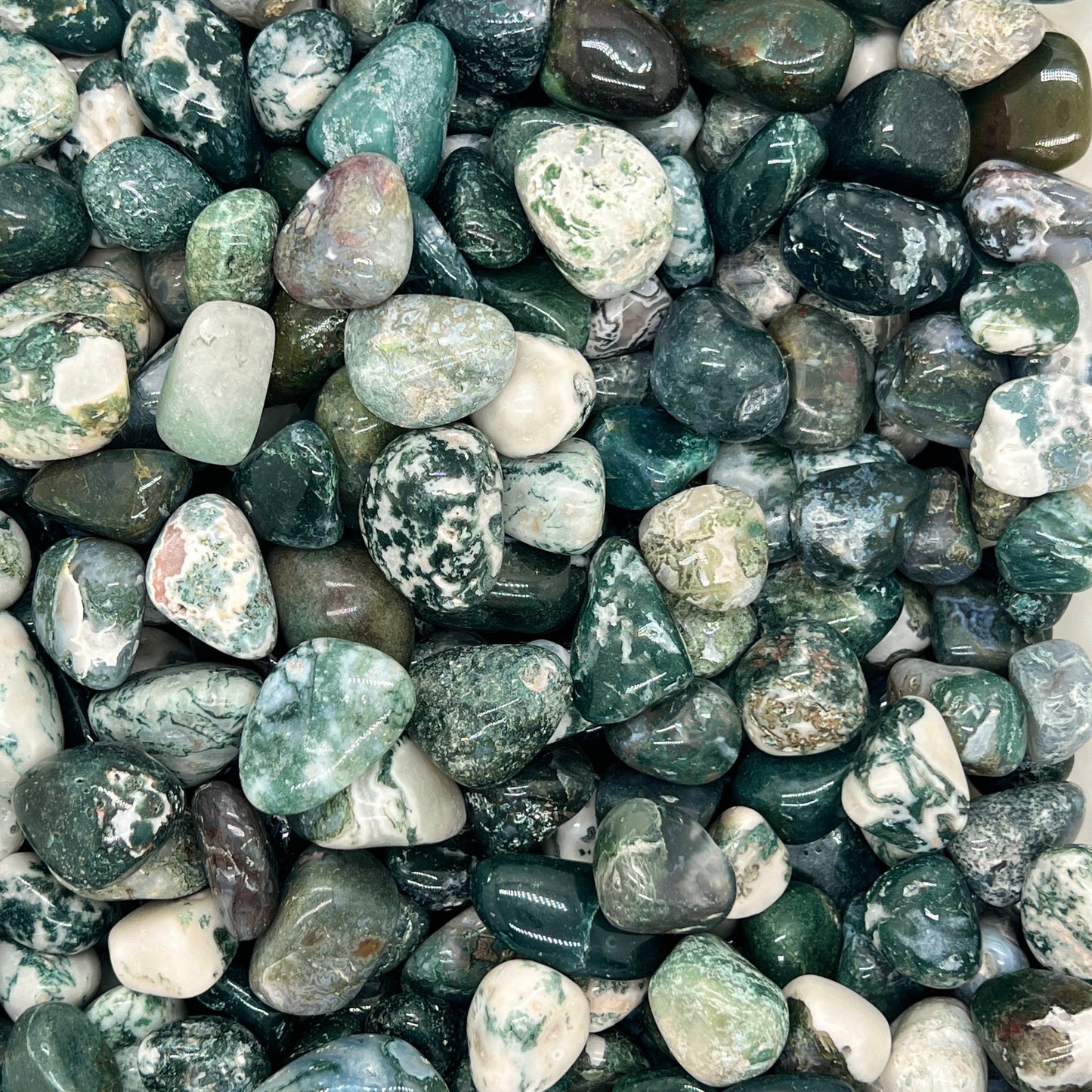 Moss Agate Tumbled Stones(20-30mm) WaterfrontCrystal
