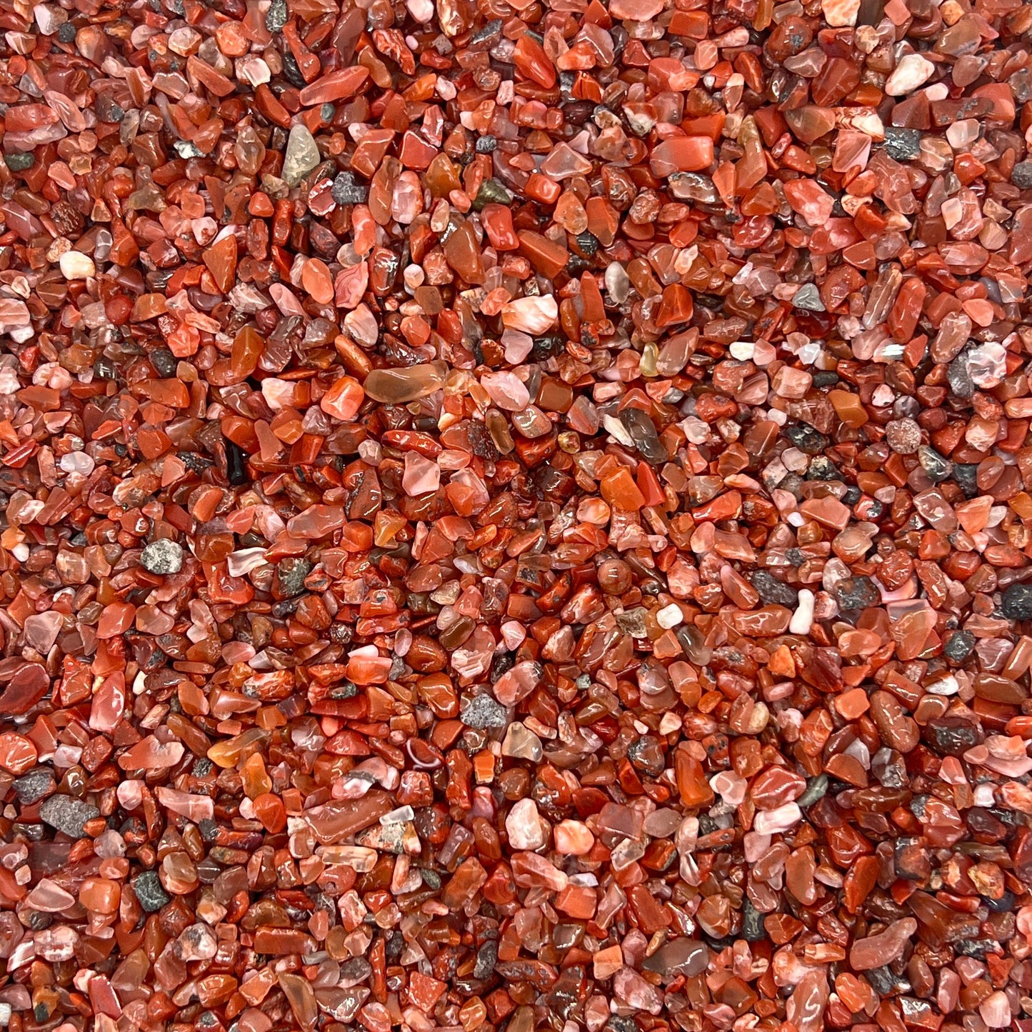 South Red Agate Chips(5-8mm) WaterfrontCrystal