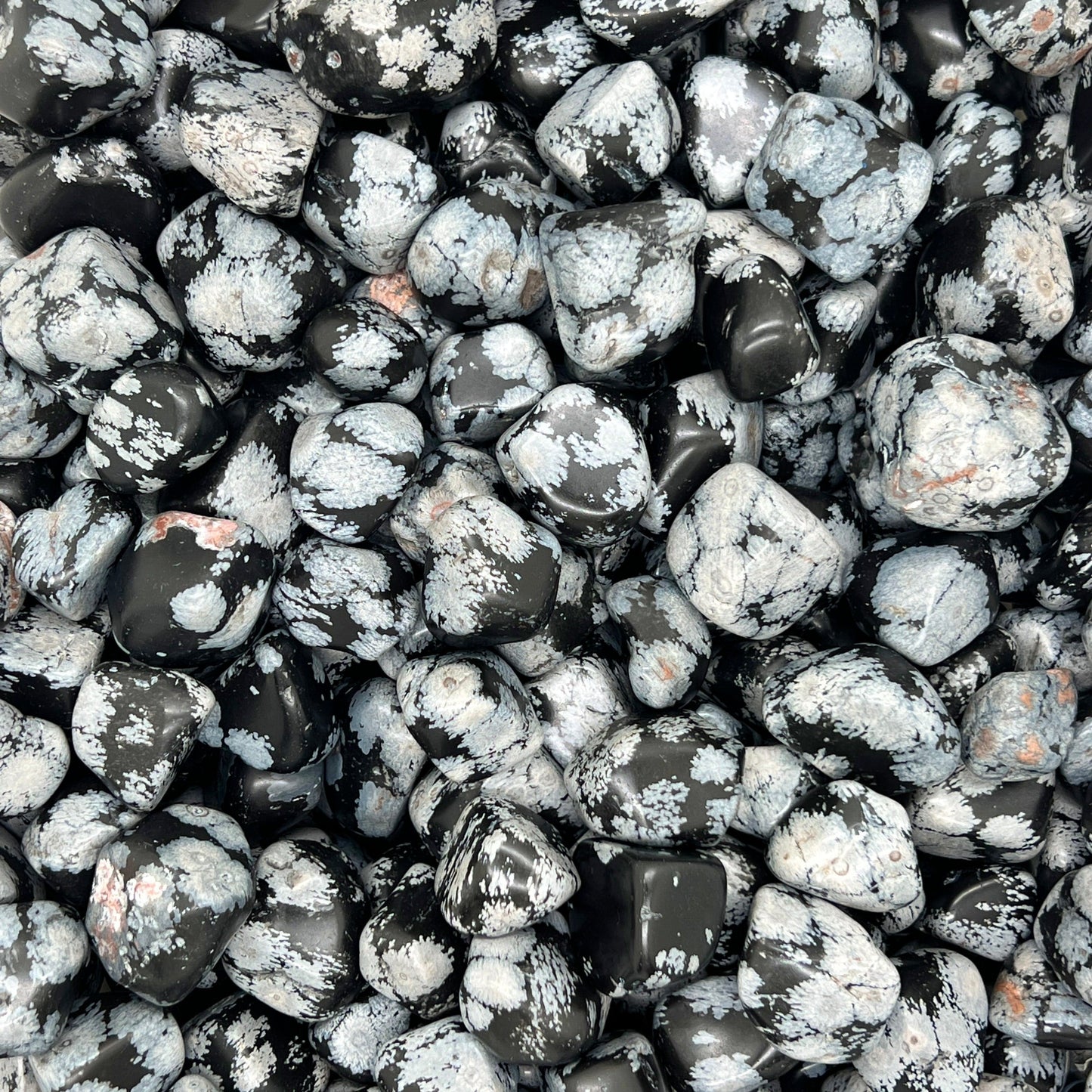 Snowflake Obsidian Tumbled Stones(20-30mm) WaterfrontCrystal
