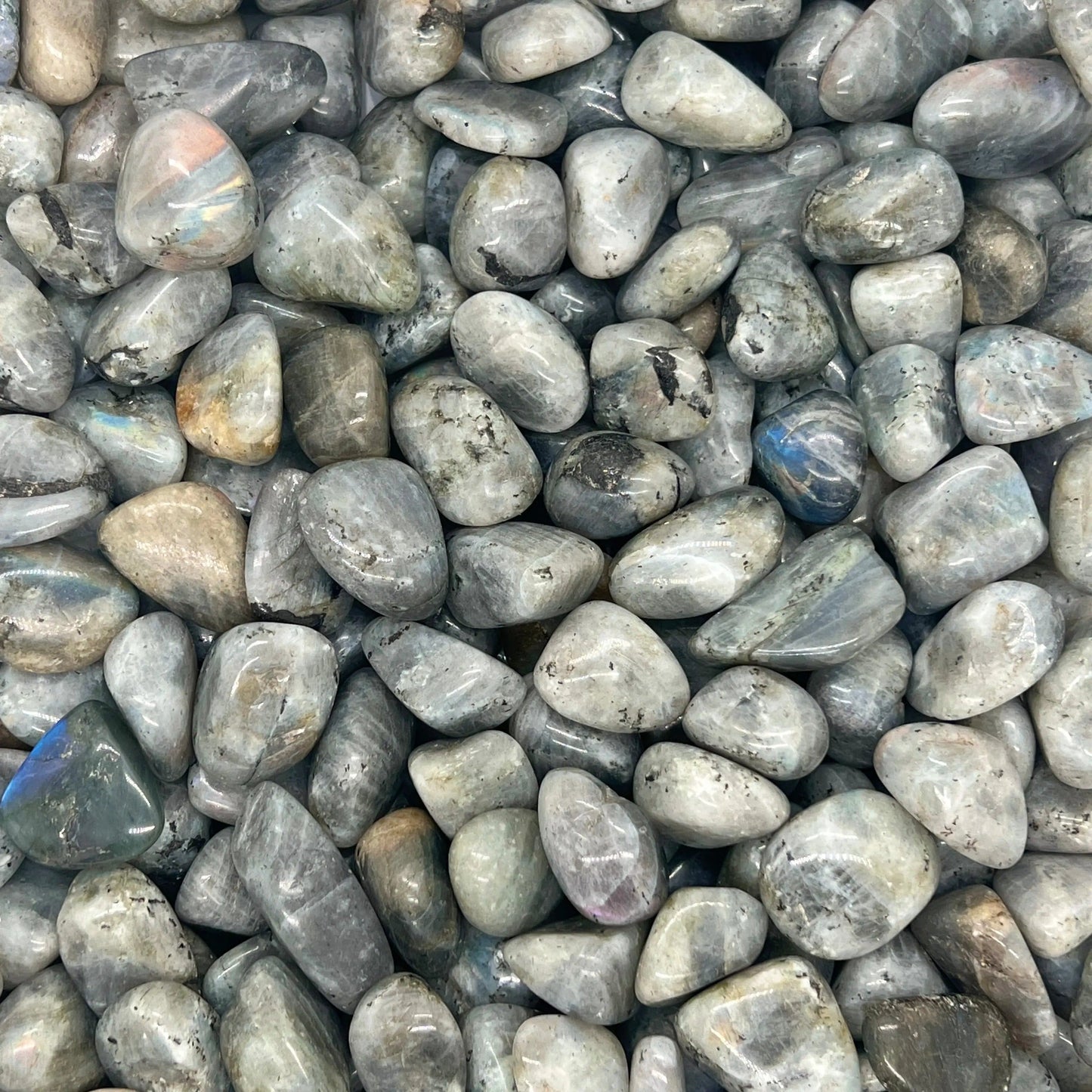 Labradorite Tumbled Stones(20-30mm) WaterfrontCrystal