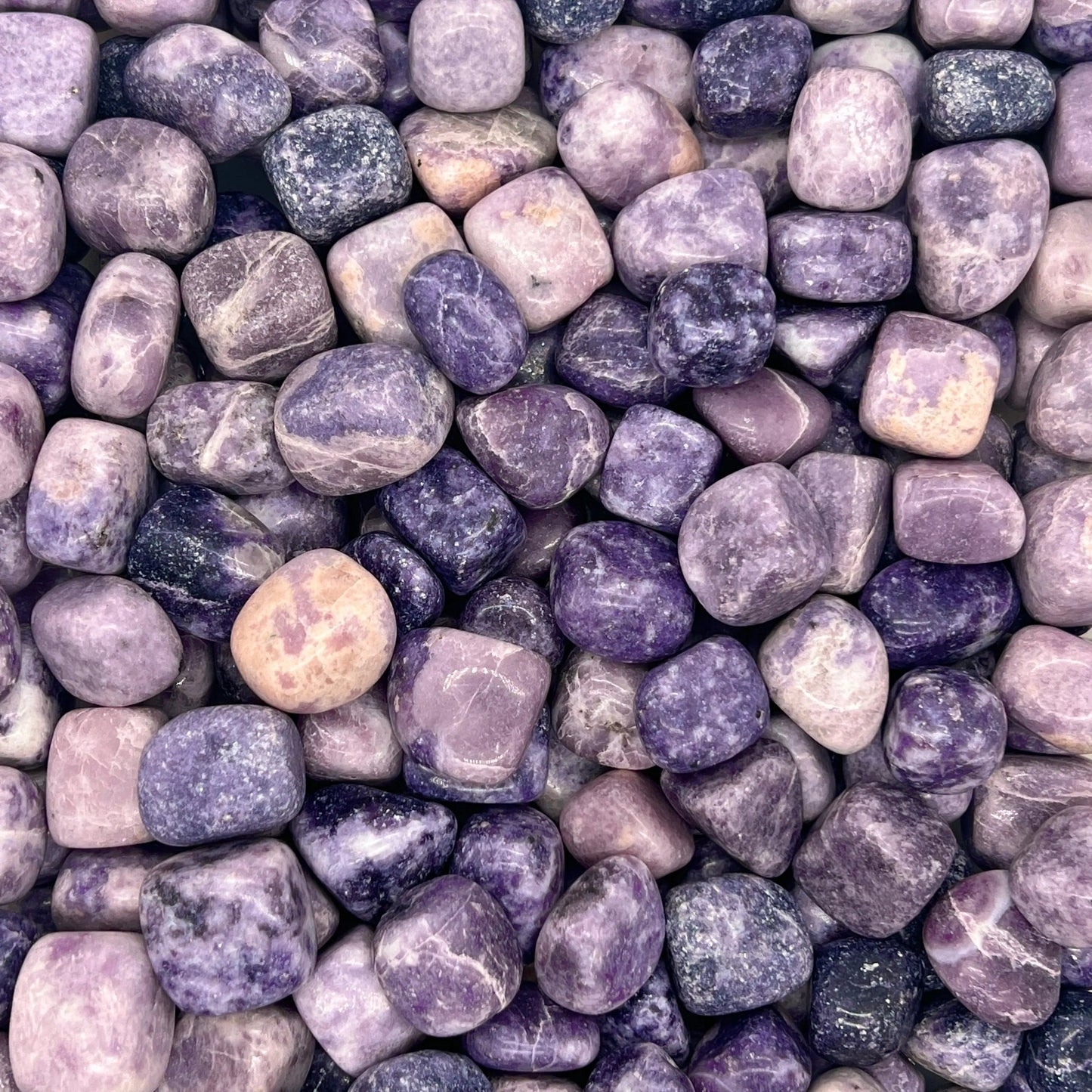 Lepidolite Tumbled Stones(20-30mm) WaterfrontCrystal