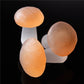 Natural Selenite Mushroom