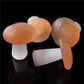 Natural Selenite Mushroom