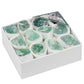 Natural green fluorite rough stone box set