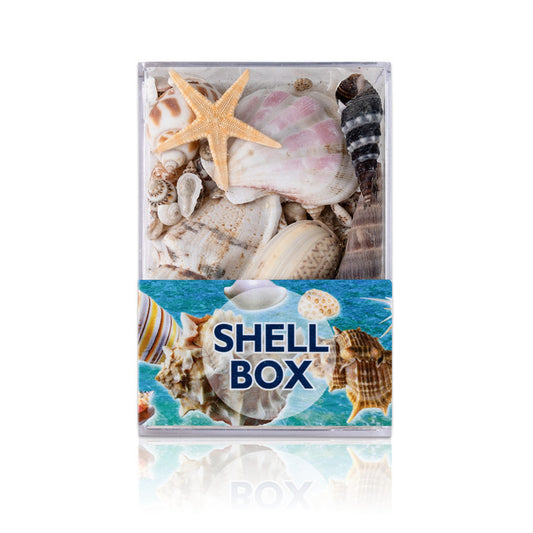 Natural marine biological specimens, shell specimens, and educational materials for student science education.