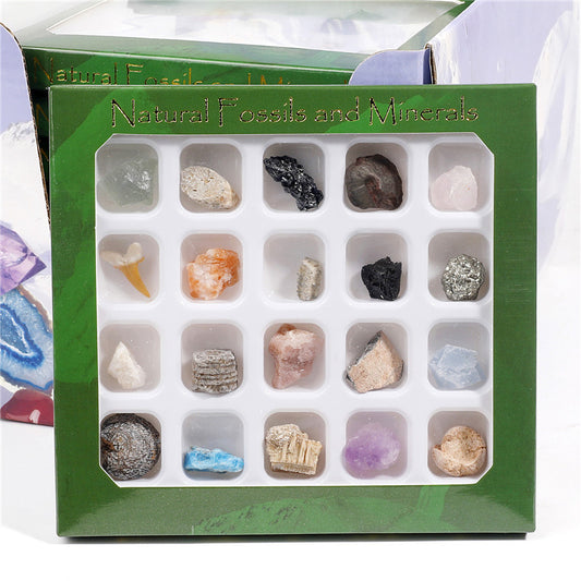 Boxed mix of 20 mineral fossil specimens