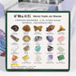 Boxed set of 20 mineral fossil specimens mixed with raw ore