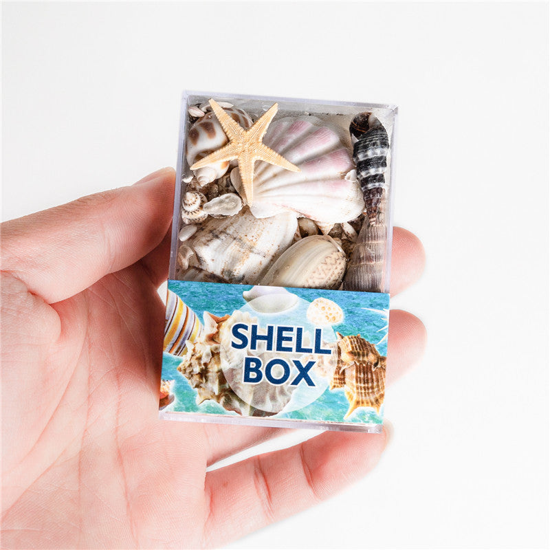 Natural marine biological specimens, shell specimens, and educational materials for student science education.