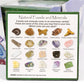 Boxed mix of 20 mineral fossil specimens