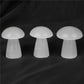 Natural Selenite Mushroom