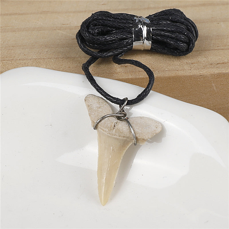 Natural fossil shark tooth necklace