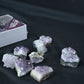 Grade B Amethyst Cluster Gift Box