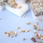 Mixed fossil ore samples for scientific education Mineral rocks